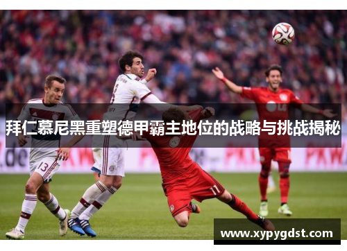 拜仁慕尼黑重塑德甲霸主地位的战略与挑战揭秘