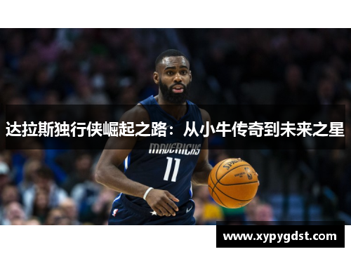 达拉斯独行侠崛起之路：从小牛传奇到未来之星