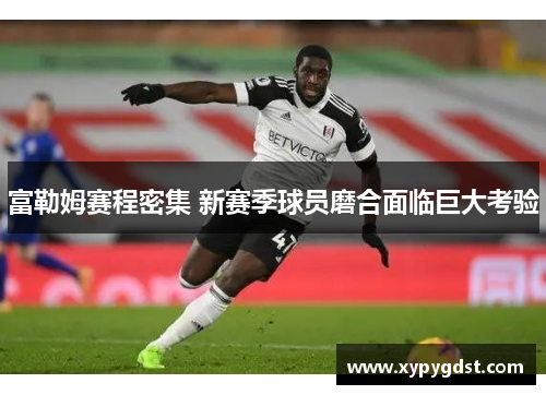富勒姆赛程密集 新赛季球员磨合面临巨大考验